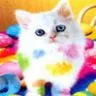 color cat