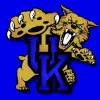 Kentucky Wildcats