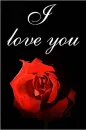 I love you with rose