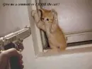 comment or culpry