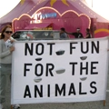 Not Fun for animals