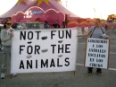 Not fun for animals