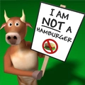 Not hamburger