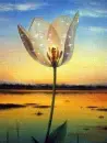 lovers flower