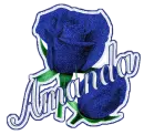 DOUBLED BLUE ROSES