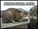 none shall pass!