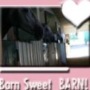 Barn Sweet Barn! 