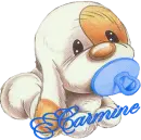 carminepuppypassi