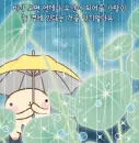 rainy day