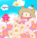 pretty flowers