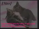 lovely kiss