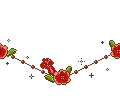 red roses