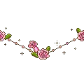 pink roses