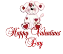Cute Puppy
