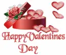 Heart and Chocolates 