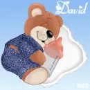 Teddy Bear with the name David