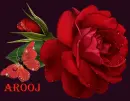 arooj/flower