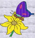 Butterfly On Flower