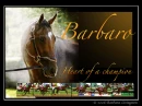 barbrao
