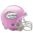 Florida Gators PInk Helmet