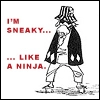 ninja kisuke