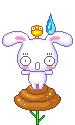cute bunny
