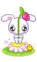 cute bunny