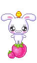cute bunny