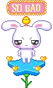 cute bunny