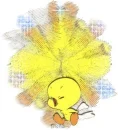 Tweety