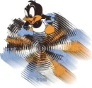 Daffy