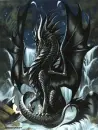 my pet dragon