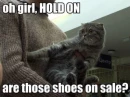 Cats, Lmfaoâœ­