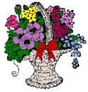 flori