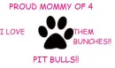 PIT BULL MOMMY