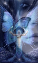 fairy