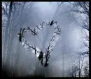 my little window heart