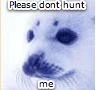 please dont hunt me