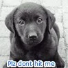 please dont hit me