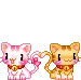 cats awww 