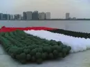 arab