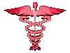 RN logo