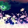 field of flowers
