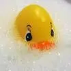 evil duck 