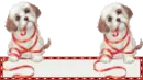 dogs