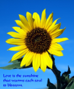 Loveflower
