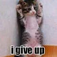 i give up