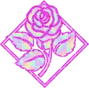 Valentine's Rose