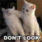 don't look