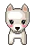 cute puppy dog 